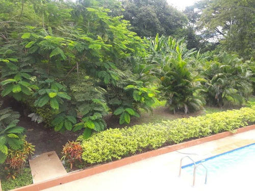 Imagen 14 de 18 de Venta De Finca De Recreo En Santa Fe De Antioquia