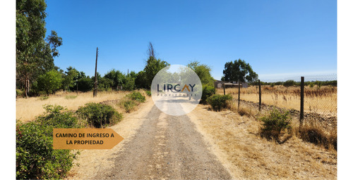 En Venta Terreno De 7 Hectáreas, Talca, Panguilemu.