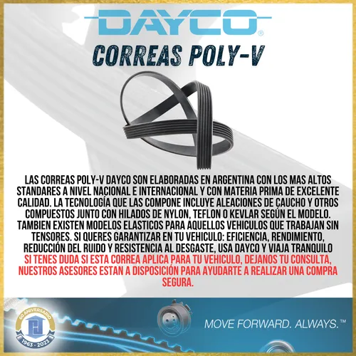 Poly V Focus 2.0 16v Duratec 2005 2006 2007 2008 2009 2010