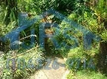 Chácara Com 4 Dormitórios À Venda, 4000 M² Por R$ 2.300.000,00 - Jardim Do Rio Cotia - Cotia/sp - Ch0036