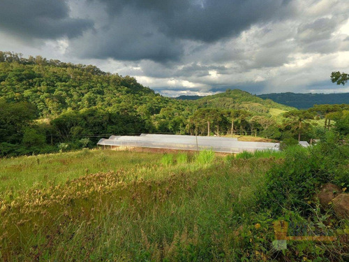 Imagem 2 de 6 de Chácara À Venda, 20000 M² Por R$ 235.000,00 - Desvio Rizzo - Caxias Do Sul/rs - Ch0006