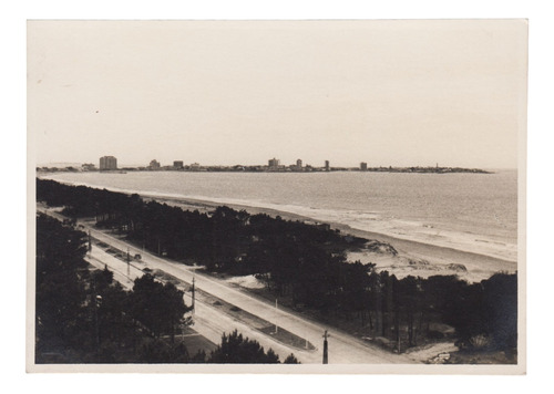 1962 Punta Del Este Fotografia Real Desde Edificio El Grillo