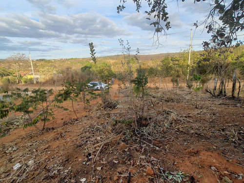 Imagem 8 de 10 de Lote Em Caetanópolis