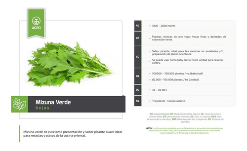 Semilla De Hojas Asiaticas Mizuna Verde Sobre 8 Grms