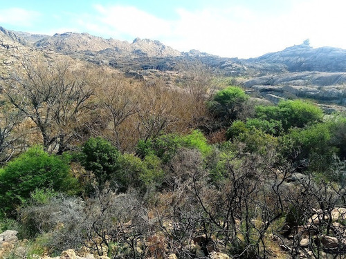 Terrenos Y Refugio De Piedra En Characato Con Escritura Impuestos Al Día Y Electricidad.