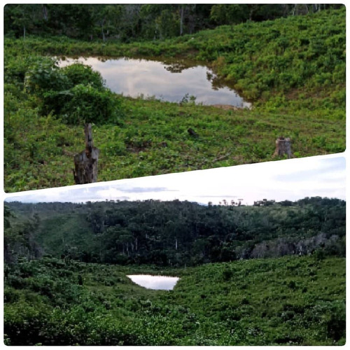 Imagen 4 de 14 de Finca En Venta En San Juan De Los Cayos