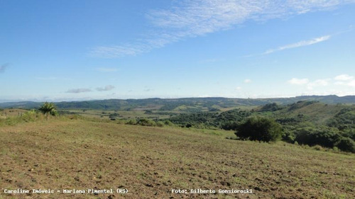 Área Rural Para Venda Em Mariana Pimentel, Boqueirão - 1153_1-779115