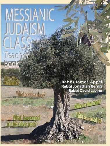 Messianic Judaism Class, Teacher Book, De Rabbi Jim Appel. Editorial Olive Press Publisher, Tapa Blanda En Inglés