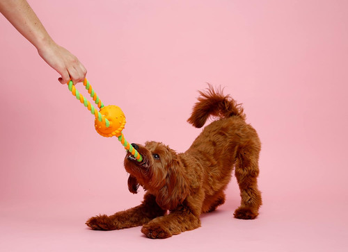 Juguetes Para Perros Hartz Duraplay Con Aroma A Tocino, M...