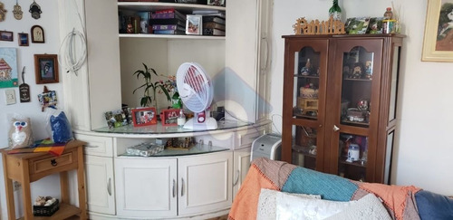 Imagem 10 de 15 de Casa Térrea, Confortável, Com Jardim Frontal Com Árvores Frutíferas, Com 3 Dormitórios E 4 Vagas . - Tw15952
