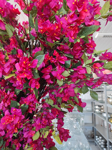 Árvore Flores De Bougainville Grande Volumosa 2x1mt Premium