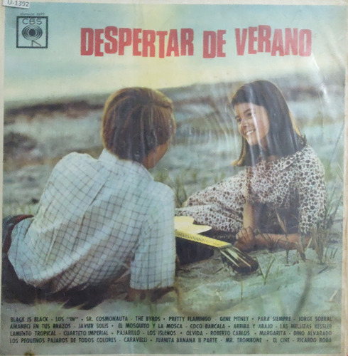 Solo La Caratula De Despertar De Verano(xx1245