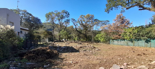 Imagen 4 de 6 de Terreno En Venta En Castellanos San Lorenzo 1218 M