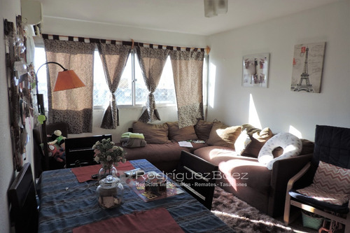 Imagen 6 de 12 de Venta Apartamento 3 Dormitorios Malvin Euscal Erria 70