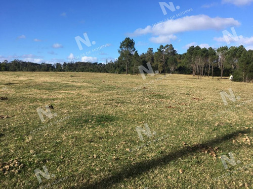Imagen 5 de 5 de Terreno En Excelente Zona - Vendido - Punta Del Este Rincón Del Indio