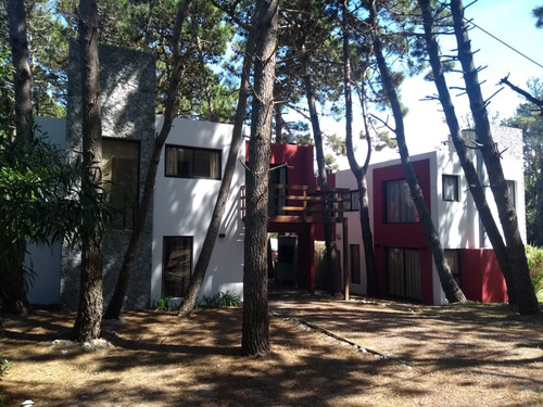 Cabaña Bosque Azul (bosque)