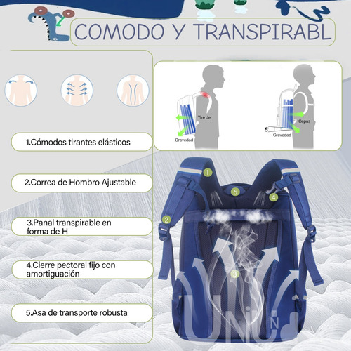Mochila Escolar Primaria Preescolar Jardin Kinder Para Niños Dinosaurio Impermeable Bonita Espaciosa Y Resistente Viaje Uniuni Color Azul UN-22