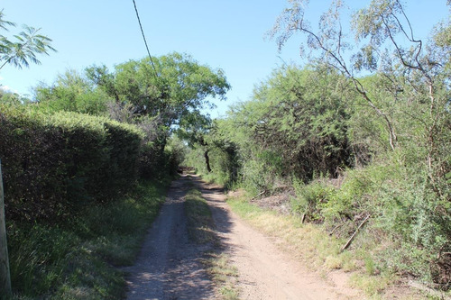 Imagen 10 de 14 de Venta De 2 Hectáreas Con Monoambiente En Carpintería
