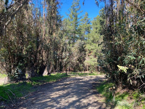 Sector Reserva De Tunquén, Quintay