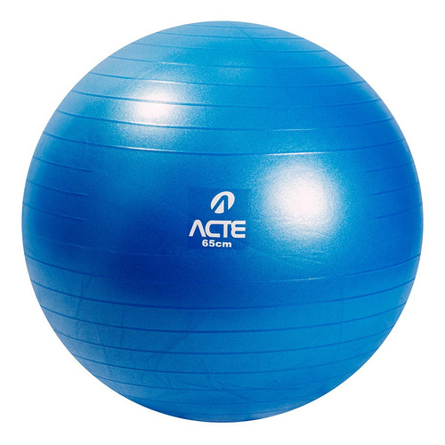 Bola De Pilates Ginastica Gym Ball 65cm T9 Acte