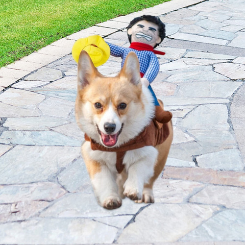 Perro Equitación, Vaquero Con Cierres, Traje Perro Vaquero