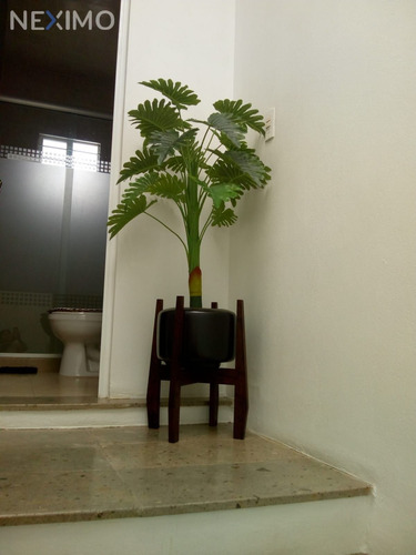 Imagen 7 de 8 de Casa En Venta, Yautepec Morelos