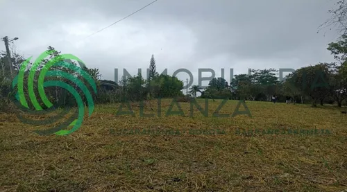 Lote En Venta En Vereda Palonegro. Cod V61527