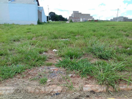 Imagem 5 de 6 de Apartamento Em Anápolis - Go - Te0290_ob
