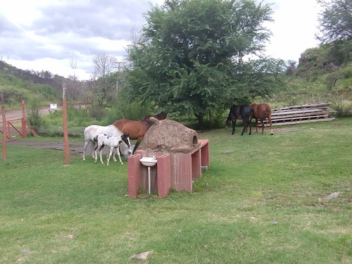 Oportunidad , Vendo , Asocio O Permuto Cámping Y Cabañas , En El Trapiche , San Luis