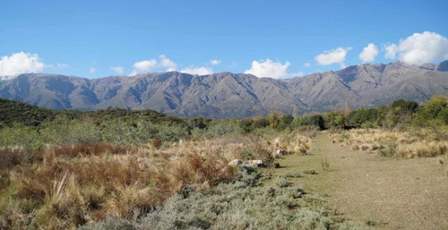 Imagen 4 de 10 de Campo En Las Chacras Córdoba Apto Desarrollo Inmobiliario