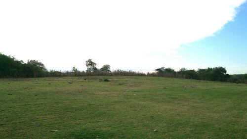 Imagen 8 de 8 de Campo Venta Pajas Blancas Córdoba