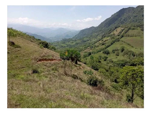 Vendo Finca De 30 Cuadras En Damasco Para Ganadería Cerca La Pintada