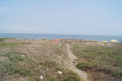 Imagen 7 de 9 de Terreno De 5,000 M2 A Pie De Playa En Venta En Antón Lizardo