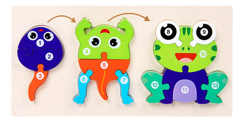 Ciclo De Vida De Madera De Animla Puzzle Brain Rana