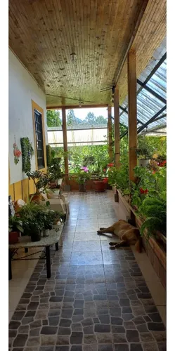Se Vende Finca Circasia Quindío