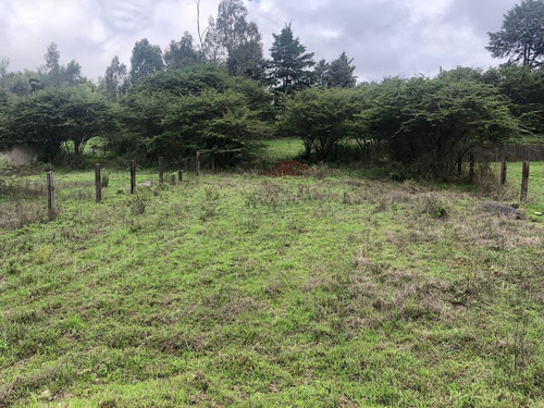 Terreno Plano En Loma De Las Palomas: Tu Refugio En Valle De Bravo