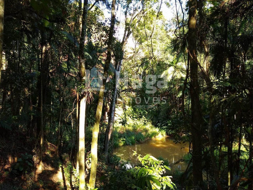 Imagem 25 de 30 de Chácara À Venda No Bairro Águas Claras - Brusque/sc - 1493c