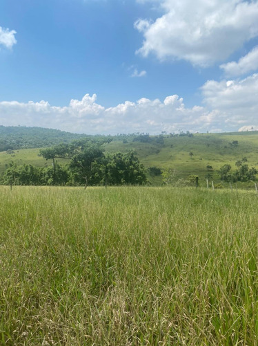 Imagem 12 de 14 de R16- A Venda Em Jacareí,lotes Com Excelente Topografia