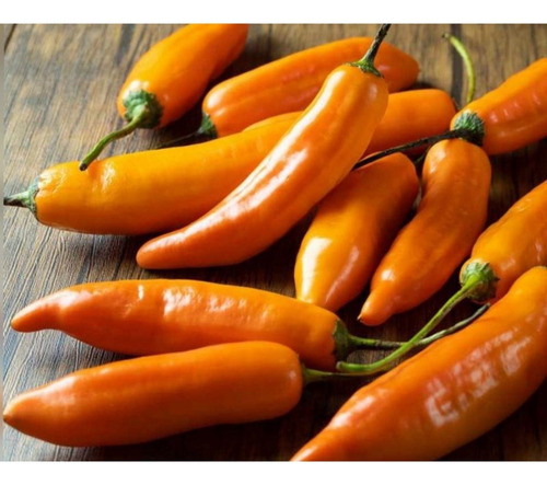 4x Sementes Pimenta Andina (peruana Aji) Alta Produção 400mg