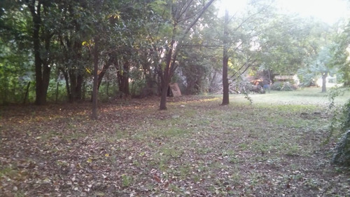 Imagen 5 de 10 de Terreno Para Housing Y Locales!! 20 Unidades!