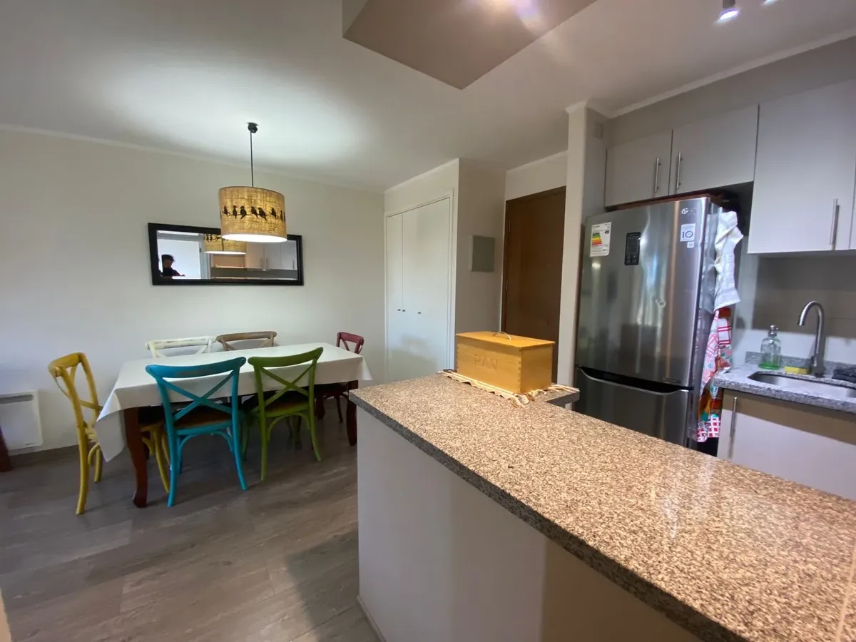 Imagen 3 de 22 de Departamento 2 Dormitorios En Venta, Condominio Seguro, Puc?