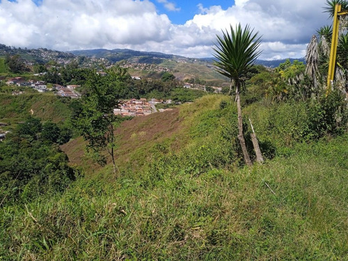 Imagen 10 de 13 de Terreno En Venta 13.5 Hectareas En Las Guamas Los Teques