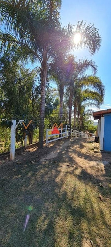 Imagem 13 de 15 de Fazenda Para Venda Em Crucilândia - 70509_2-1223566