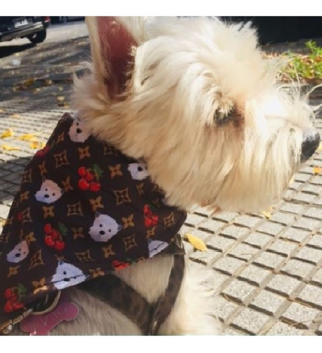 Collares Para Perros O Gatos Con Pañuelo Bandana Ajustables Color Estampado S-taj Mahal