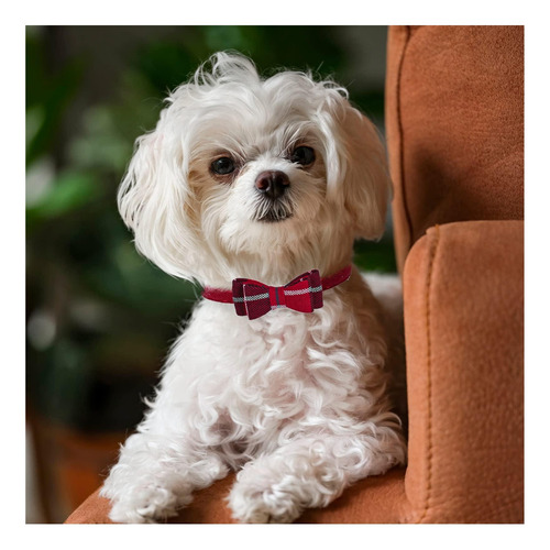 Pupteck Collar Para Cachorro Con Campana ' Paquete De 2 Para