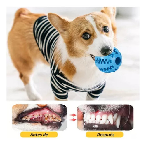 Z Pelotas De Goma Para Mascotas 3 Pack Para Limpiar Y Afilar