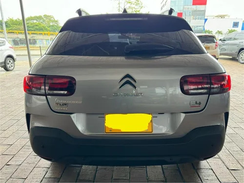 C4 Cactus Shine