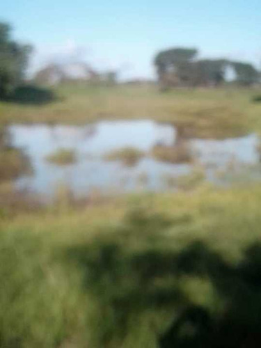 Imagen 17 de 26 de Finca En Venta ,calabozo Guarda Tinajas