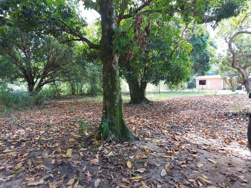 Imagem 8 de 24 de Terreno Em Caxito, Maricá/rj De 1060m² À Venda Por R$ 150.000,00 - Te2148374-s