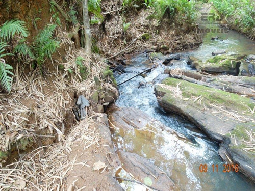 Imagem 9 de 13 de Terreno Residencial À Venda, Jardim São Jorge, Arujá - Te0205. - Te0205